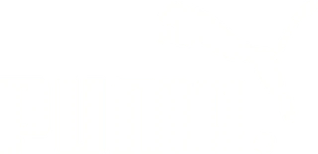 Volkswagen Logo